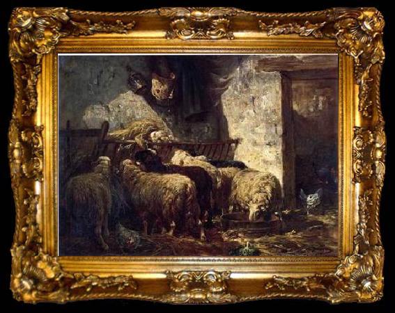 framed  unknow artist Sheep 155, ta009-2